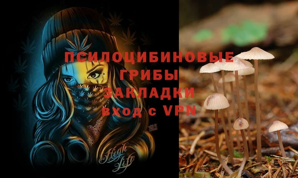 твердый Балабаново