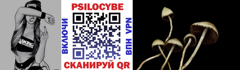 купить наркоту  Бирюч  Псилоцибиновые грибы Psilocybine cubensis 